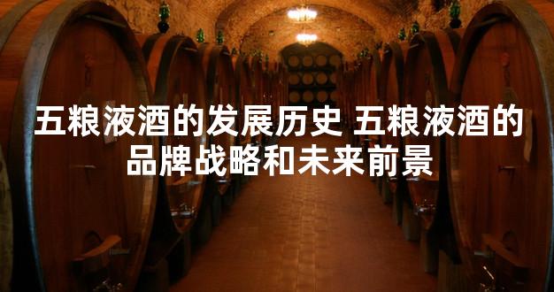 五粮液酒的发展历史 五粮液酒的品牌战略和未来前景